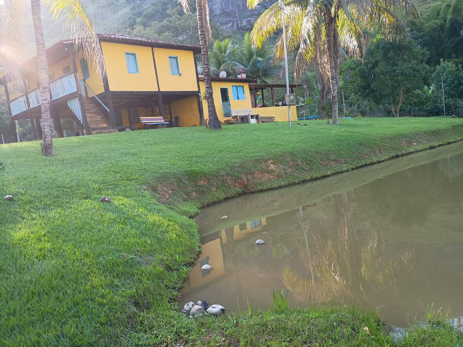 Sítio, 4 quartos, 67 m² - Foto 7