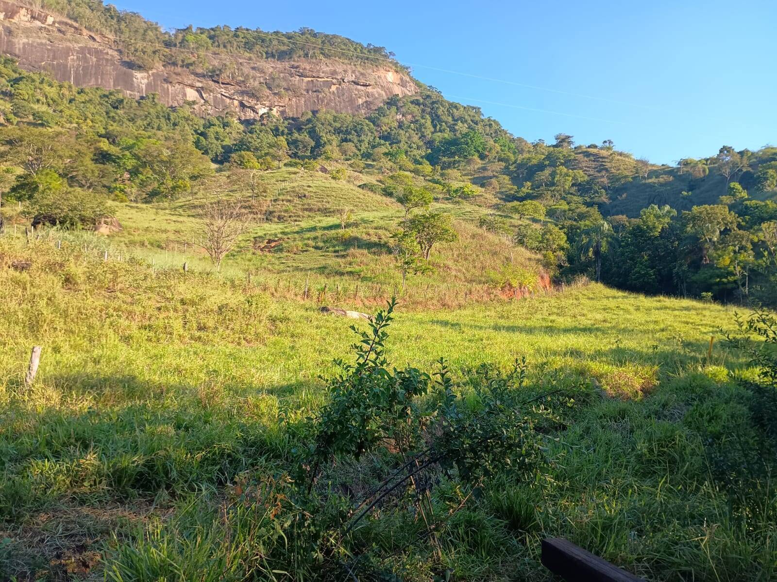 Sítio, 4 quartos, 67 m² - Foto 17