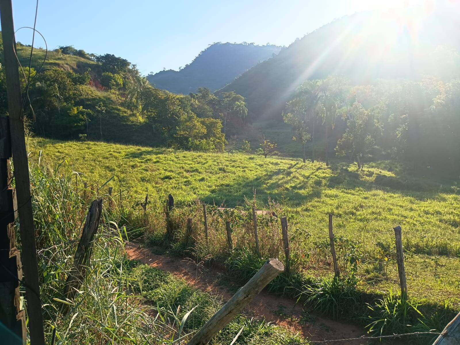 Sítio, 4 quartos, 67 m² - Foto 18