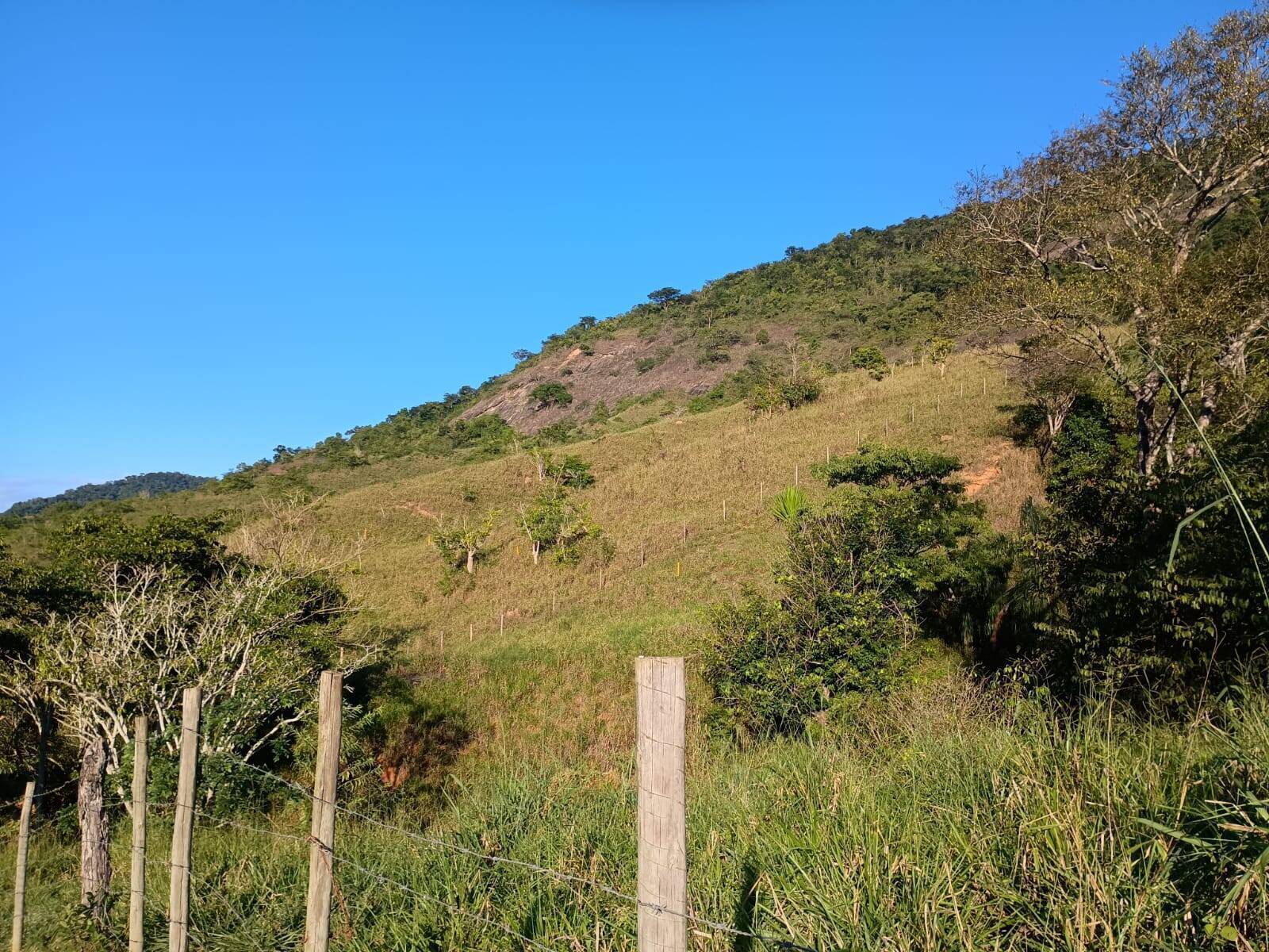 Sítio, 4 quartos, 67 m² - Foto 19