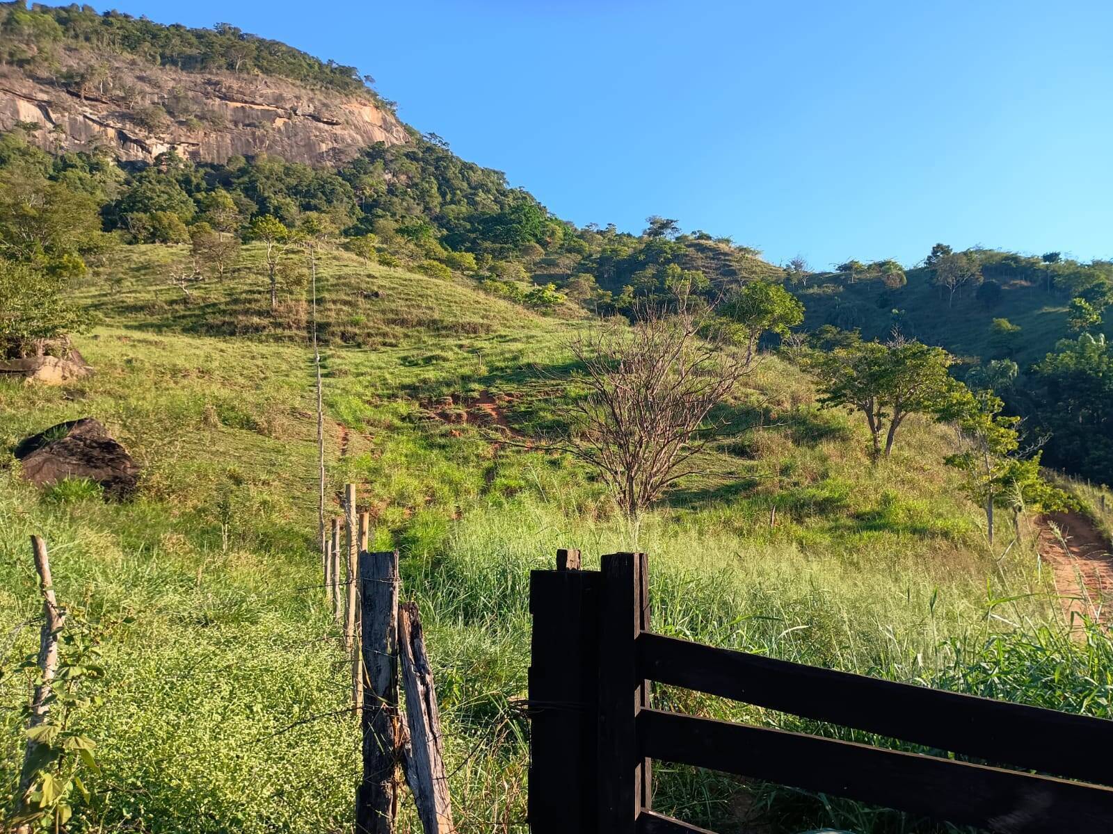 Sítio, 4 quartos, 67 m² - Foto 22