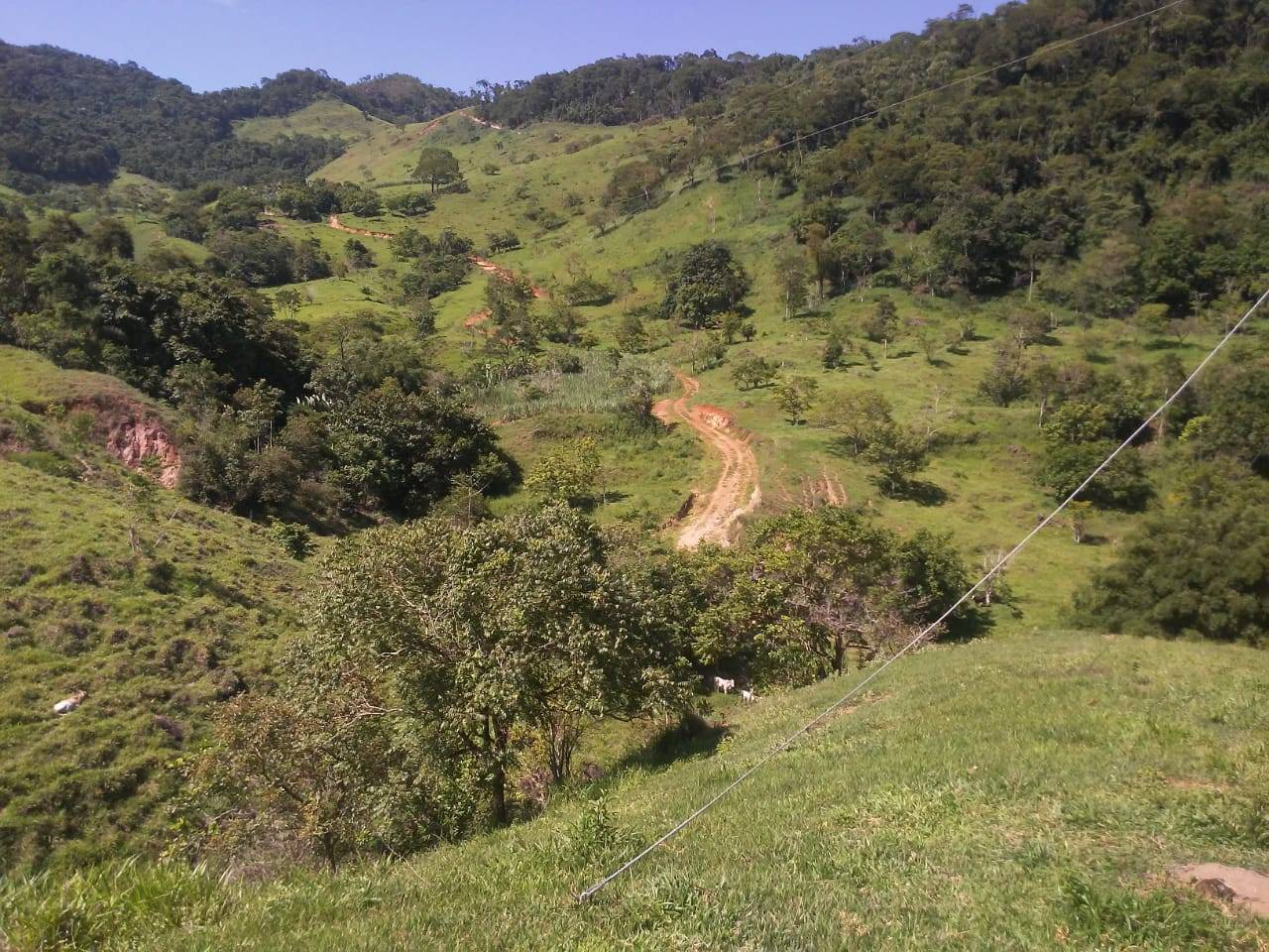 Terreno, 50 m² - Foto 3