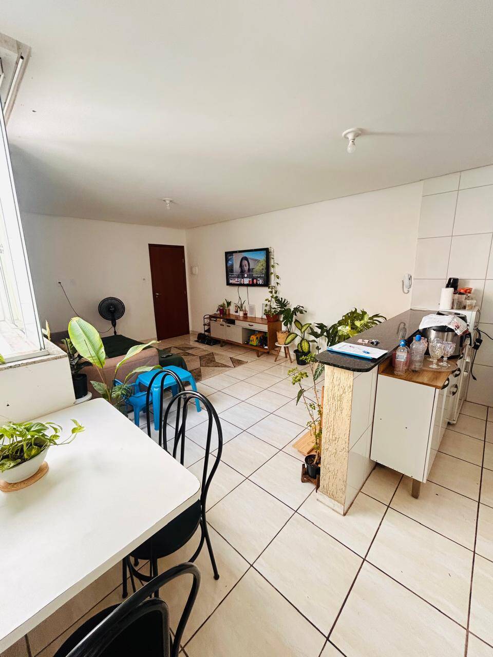 Apartamento, 2 quartos - Foto 3