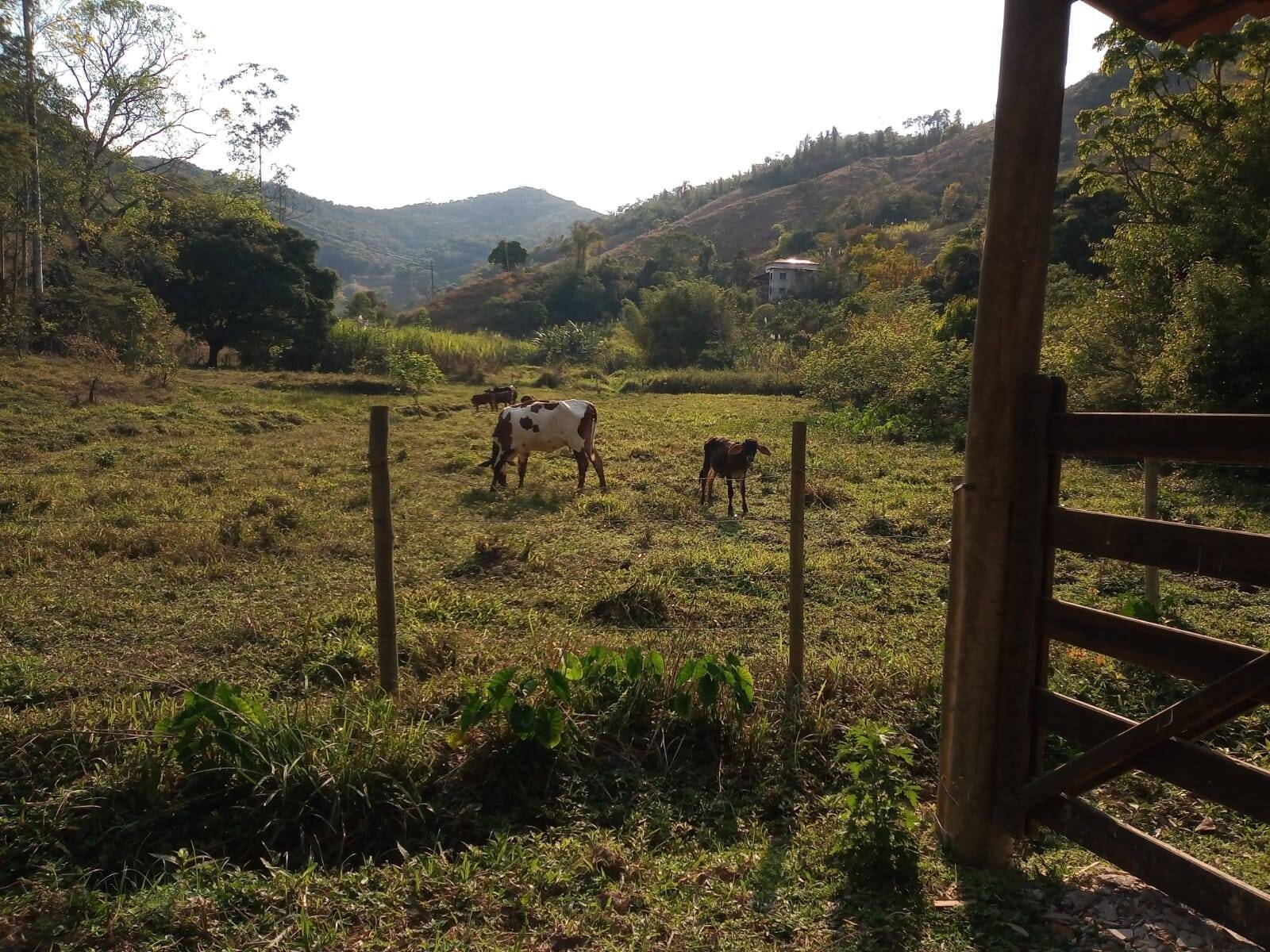 Terreno, 17 m² - Foto 9