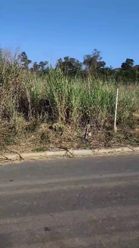 Terreno, 300 m² - Foto 4