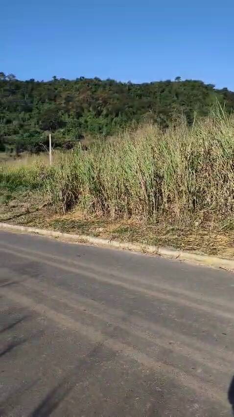 Terreno, 300 m² - Foto 3