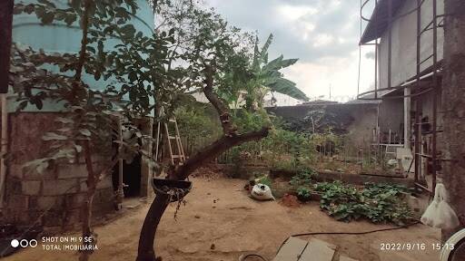 Casa à venda com 6 quartos, 720m² - Foto 9