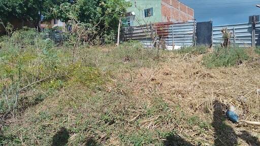 Terreno, 455 m² - Foto 3