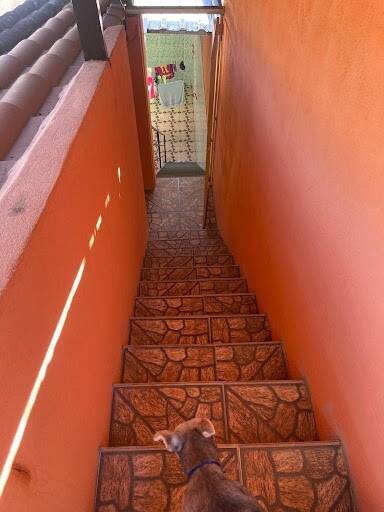 Casa, 3 quartos, 264 m² - Foto 14