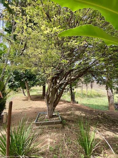 Sítio para alugar com 7 quartos, 260000m² - Foto 15