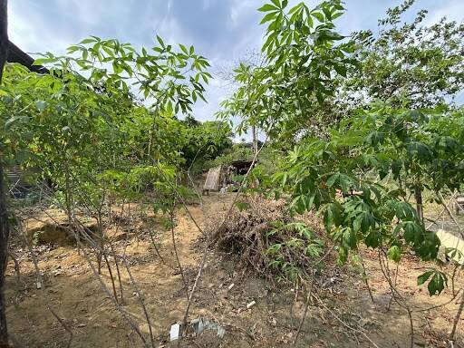 Terreno à venda, 556m² - Foto 1