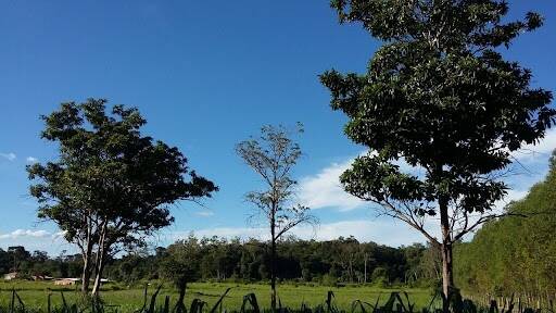 Terreno, 6000 m² - Foto 2