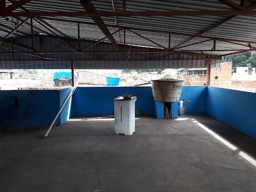 Casa, 4 quartos, 200 m² - Foto 15