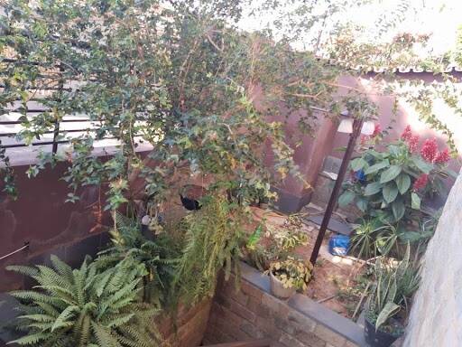 Casa à venda com 4 quartos - Foto 4