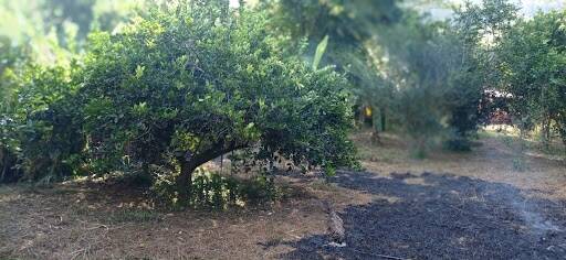 Chácara, 2 quartos - Foto 1