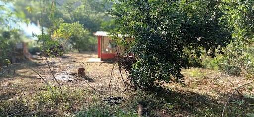 Chácara, 2 quartos - Foto 4