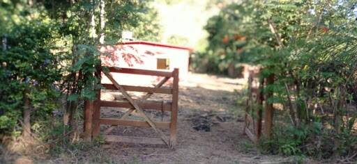 Chácara, 2 quartos - Foto 8