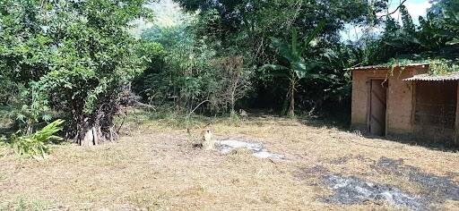 Chácara, 2 quartos - Foto 13