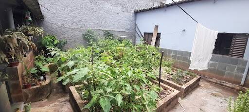 Casa, 4 quartos, 360 m² - Foto 23