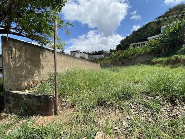#1255 - Terreno para Venda em Coronel Fabriciano - MG - 3