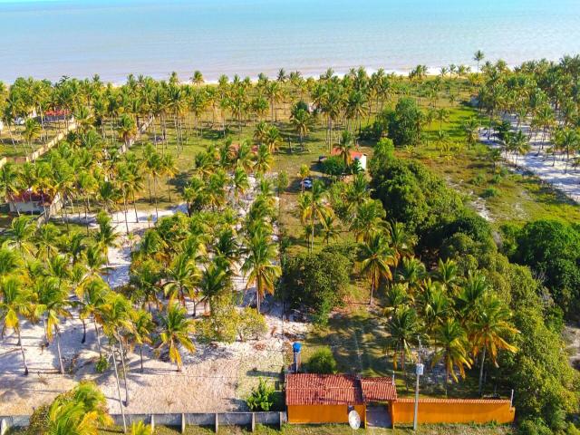 #3786 - Terreno para Venda em Nova Viçosa - BA - 1