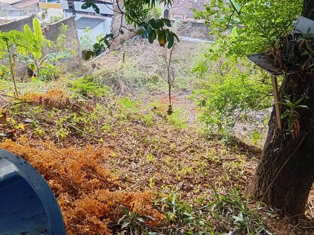 Área para Venda em Coronel Fabriciano - 5