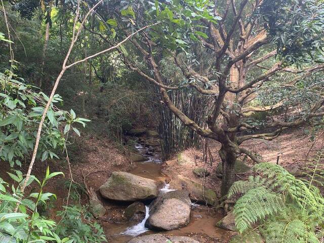 #4083 - Chácara para Venda em Santana do Paraíso - MG - 3