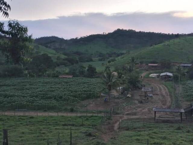 #4142 - Fazenda para Venda em São Sebastião do Maranhão - MG - 2