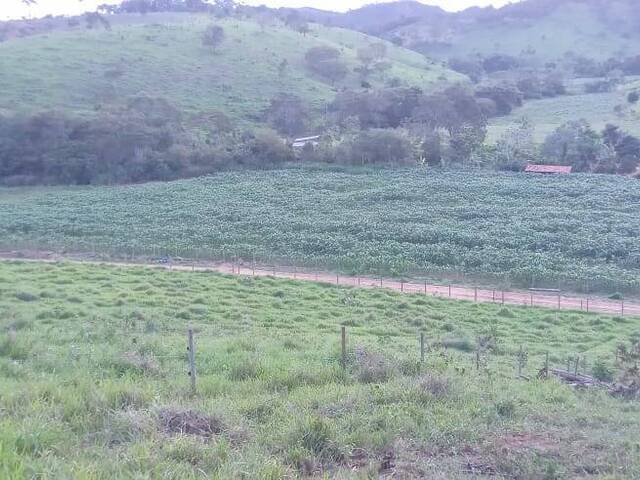 #4142 - Fazenda para Venda em São Sebastião do Maranhão - MG - 3