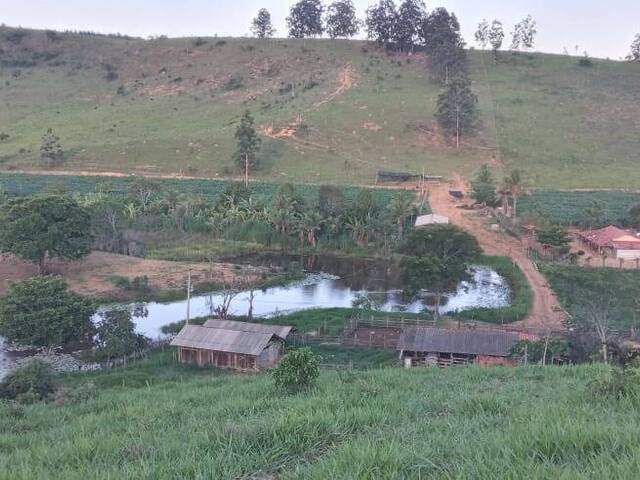 #4142 - Fazenda para Venda em São Sebastião do Maranhão - MG - 1