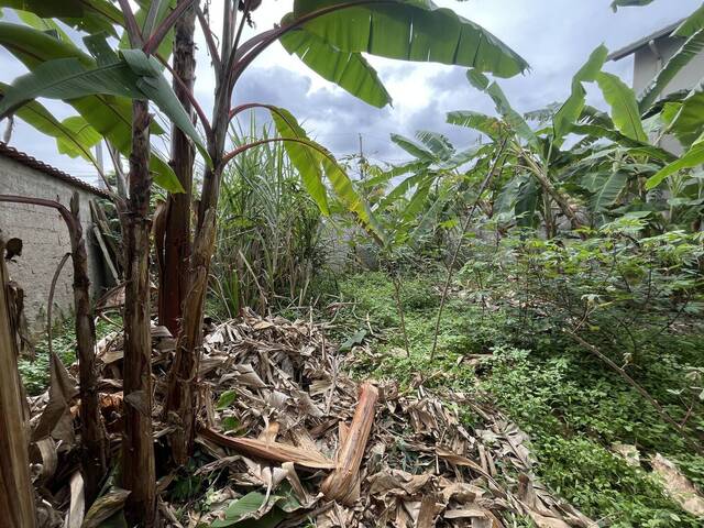 Área para Venda em Marliéria - 3