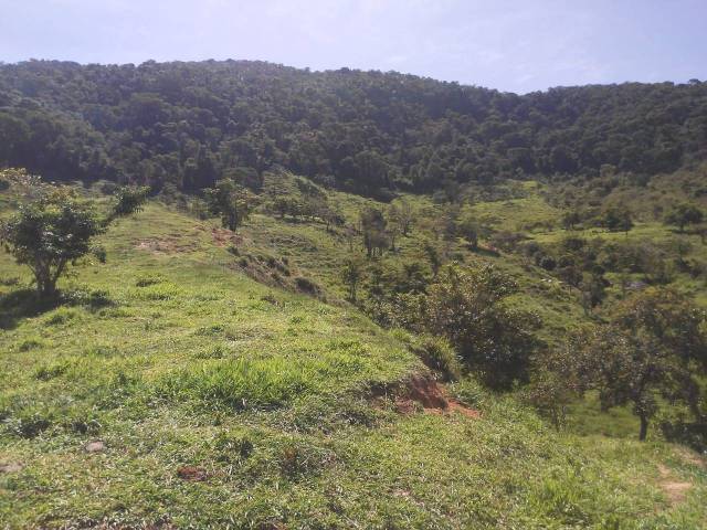 Venda em Centro - Antônio Dias