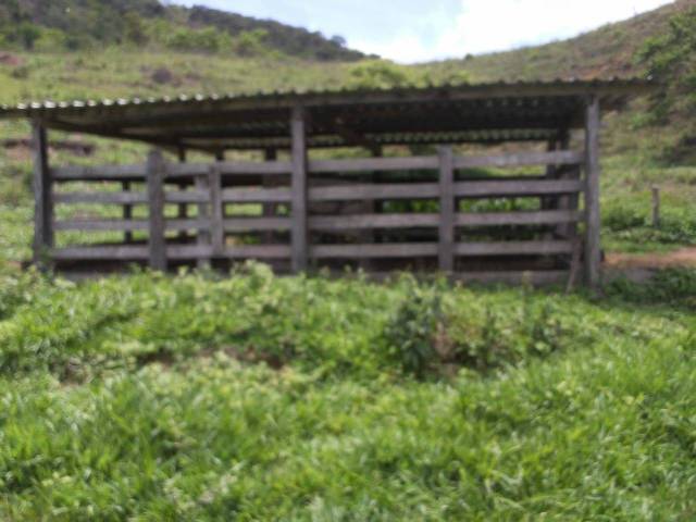 Terreno para Venda em Antônio Dias - 2