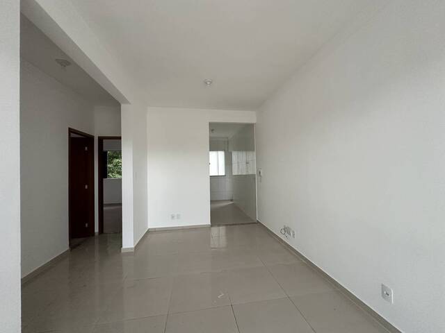 Apartamento para Locação em Ipatinga - 2