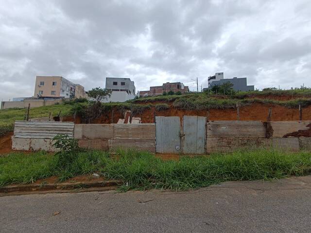 Venda em Primavera - Timóteo