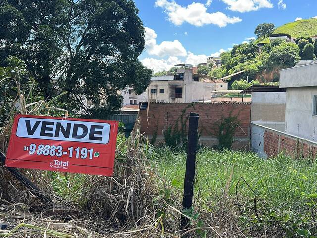 #4299 - Área para Venda em Ipatinga - MG - 3