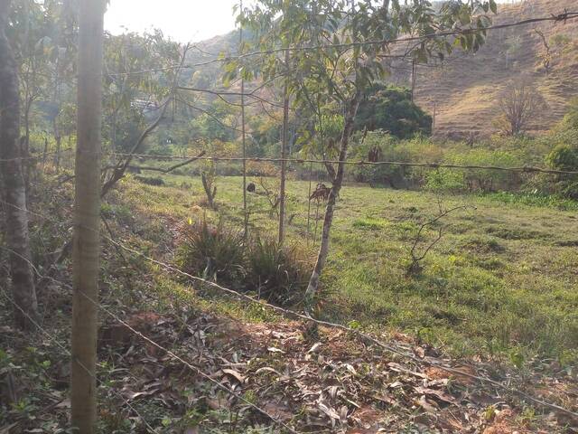 Área para Venda em Marliéria - 3