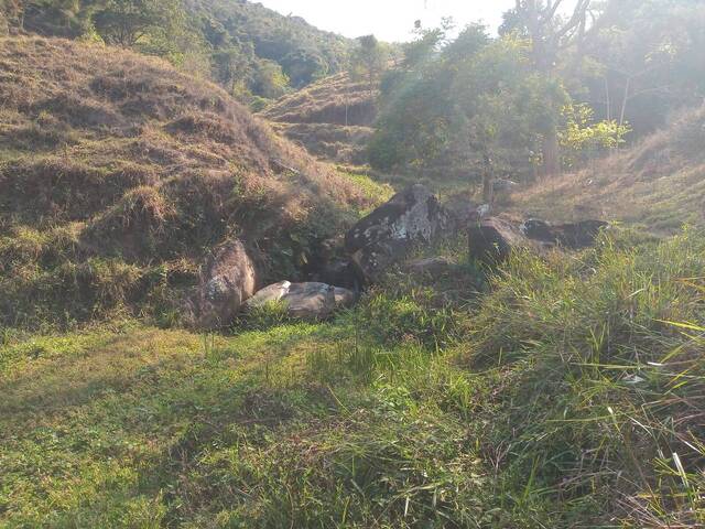 Área para Venda em Marliéria - 2