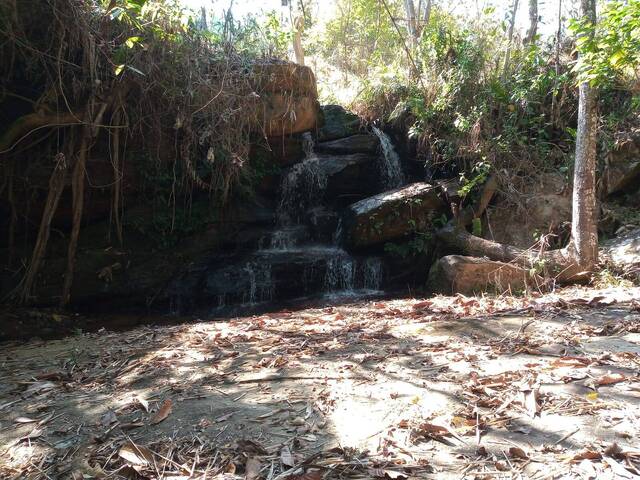 Área para Venda em Marliéria - 4