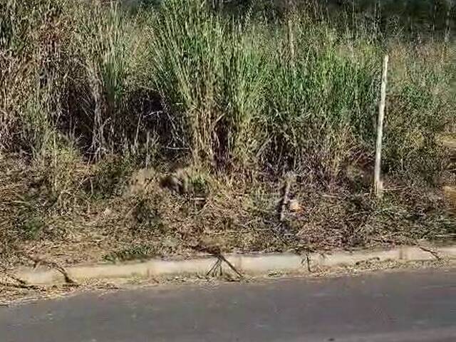 Área para Venda em Timóteo - 4