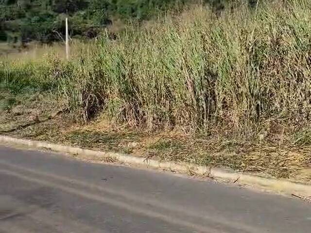 Área para Venda em Timóteo - 3