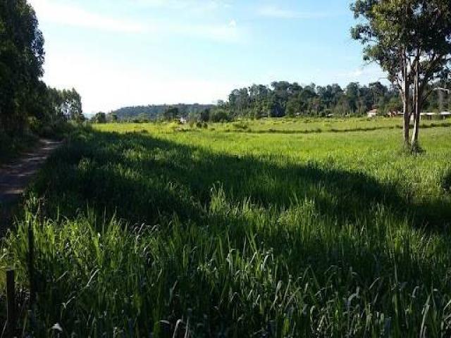 Terreno para Venda em Pingo-d`Água - 4