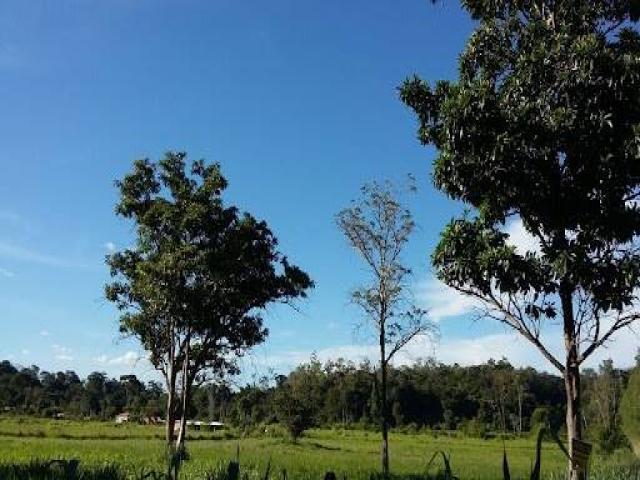 #2948 - Terreno para Venda em Pingo-d`Água - MG - 3