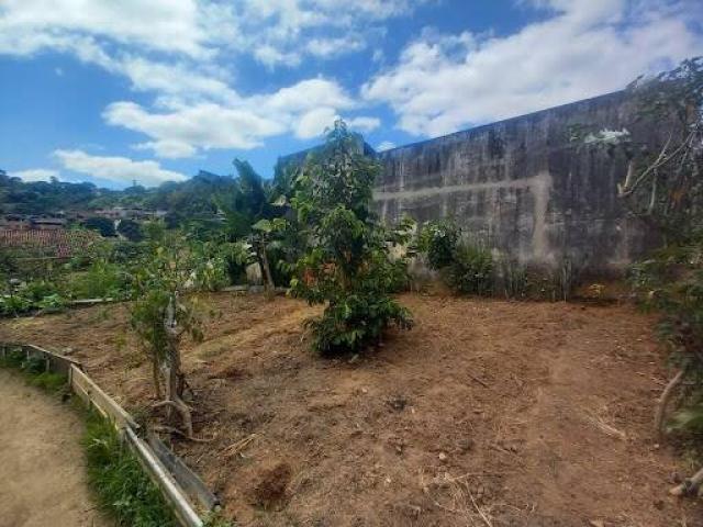 #2964 - Terreno para Venda em Coronel Fabriciano - MG - 3