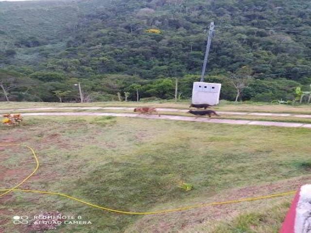 Chácara para Venda em Santana do Paraíso - 5